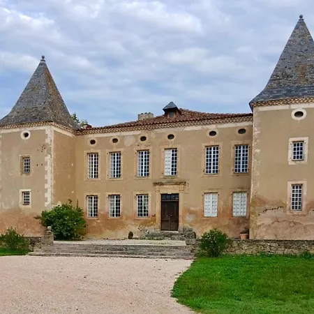 Willa Chateau De La Broquere - Chapelle Piscine -vue Pyrenees -15 Pers *