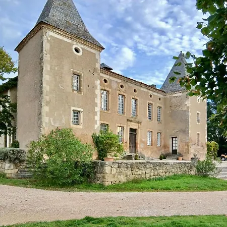 Chateau De La Broquere - Chapelle Piscine -vue Pyrenees -15 Pers *